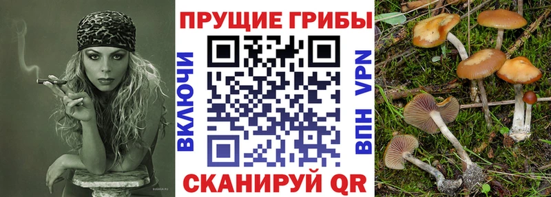 Галлюциногенные грибы ЛСД  Туапсе 